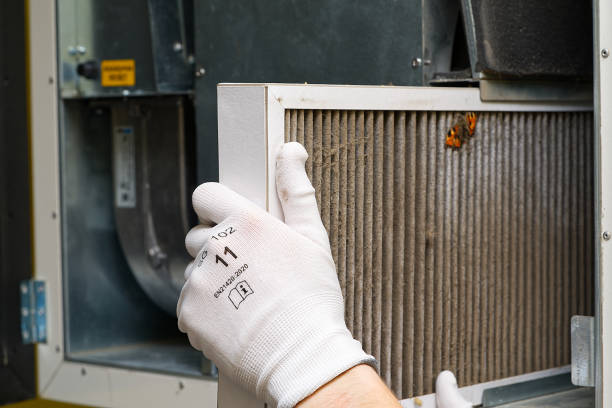 Best HVAC Duct Inspection Services  in Shelbyville, TN